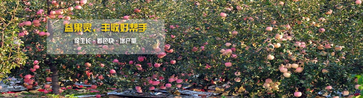 新聞動態 新聞動態